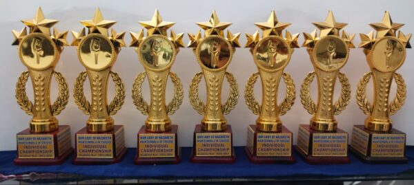 Premium Trophy – Custom Engraved Award - Image 2