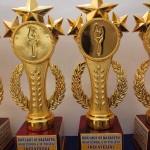 Premium Trophy – Custom Engraved Award