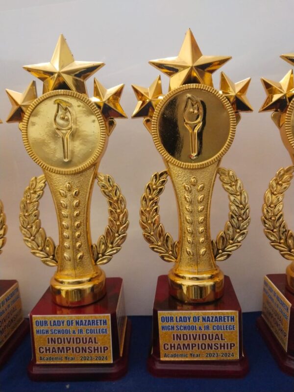 Premium Trophy – Custom Engraved Award
